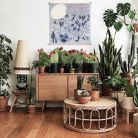 Hinoki Wooden Furoshiki Hanger with Nylon Cord (Long or Short)